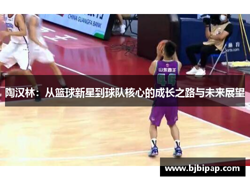 陶汉林：从篮球新星到球队核心的成长之路与未来展望