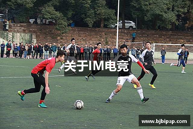关于IM电竞